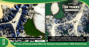 Operation Mercury Before and After Illegal Gold Mining Intervention as part of 20 for 20 Years of Conservation Wins by Amazon Conservation