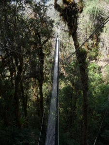 Canopy Walkway at Wayqecha Cloud Forest Research Station and Conservation Hub