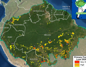 MAAP by Amazon Conservation Newsletter