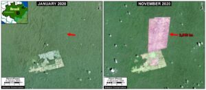 Zoom B. Deforestation in Brazilian Amazon (Amazonas state) of 2,540 hectares between January (left panel) and November (right panel) 2020. Data: Planet.