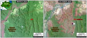 Zoom D. Forest fire in Brazilian Amazon (Para state) that burned 9,000 hectares between March (left panel) and October (right panel) 2020. Data: Planet.