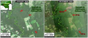 Zoom G. Deforestation in Colombian Amazon of over 500 hectares in Chiribiqete National Park between January (left panel) and December (right panel) 2020. Data: ESA, Planet.