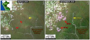 Zoom H. Deforestation and logging road construction in Peruvian Amazon (Ucayali region) between March (left panel) and November (right panel) 2020. Data: Planet.