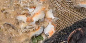 Photo of paco fish farm Amazon Conservation