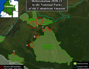 Base Map. Deforestation 2020-21 in the National Parks of the Colombian Amazon. Data: MAAP.