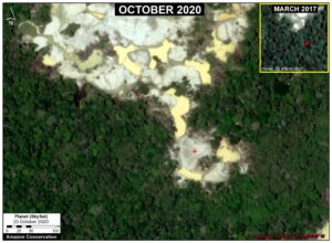 Image 3. Expansion of new gold mining areas into the primary rainforests near the Pariamanu River (Madre de Dios region). Data: Planet.