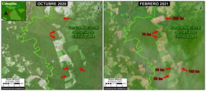 Image A. Deforestation in Chiribiquete National Park, western sector 1. Reference coordinate: 1.05497 ° N, 74.26465 ° W. Data: Planet, MAAP.