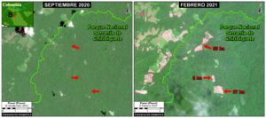 Image B. Deforestation in Chiribiquete National Park, western sector 2. Reference coordinate: 1.57990 ° N, 73.78689 ° W. Data: Planet, MAAP.