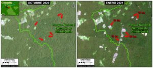 Image C. Deforestation in Chiribiquete National Park, northern sector 1. Reference coordinate: 2.00975, -73.45541. Data: Planet, MAAP.