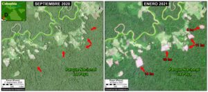 Image D. Deforestation in La Paya National Park, northern sector. Reference coordinate: 0.39677 ° N, 75.48505 ° W. Data: Planet, MAAP.