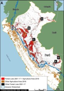 Base Map showing our major results. Data: MAAP, MIDAGRI, MINAM/Geobosques. Double click to enlarge.