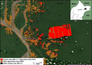 Zoom A. United Cacao (Loreto region). Data: MAAP, MIDAGRI, MINAM/Geobosques.