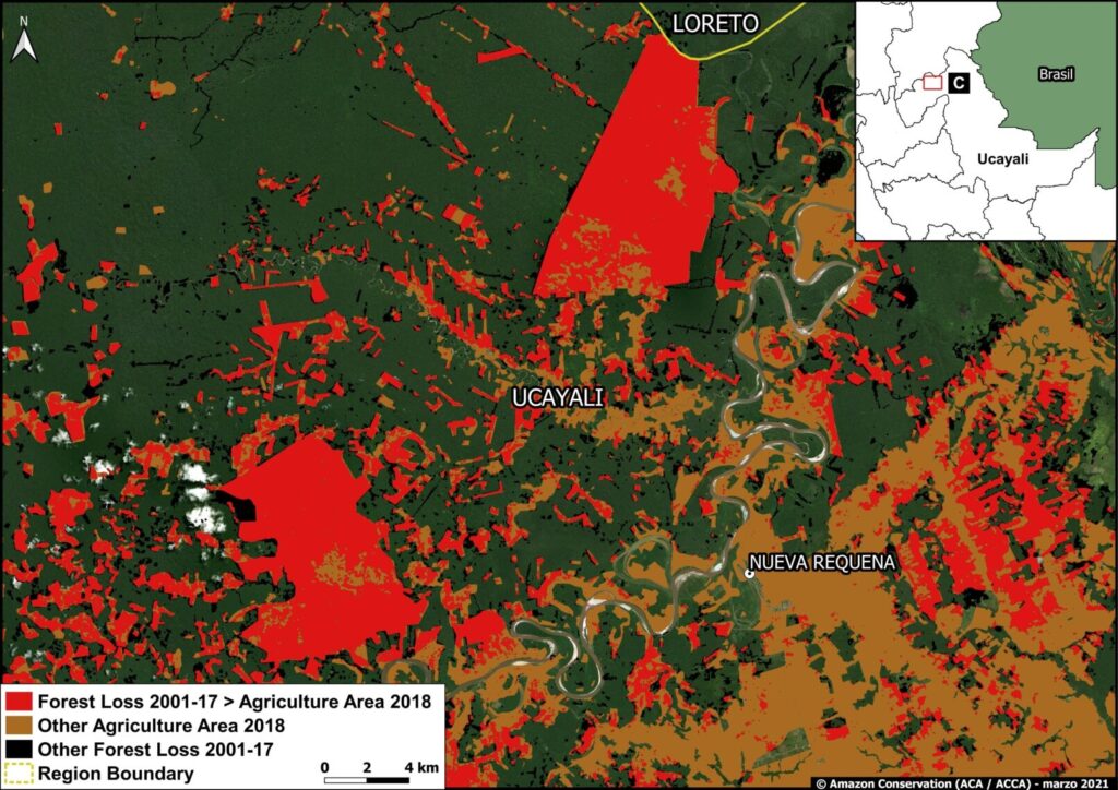 MAAP #134: Agriculture And Deforestation In The Peruvian Amazon ...