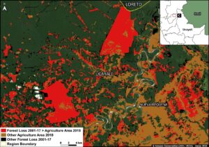 Zoom C. Oil palm deforestation (Ucayali region). Data: MAAP, MIDAGRI, MINAM/Geobosques.