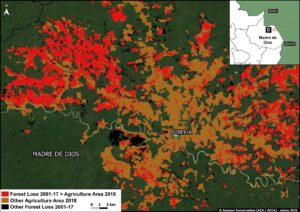 Zoom D. Agriculture related deforestation around Iberia (Madre de Dios region). Data: MAAP, MIDAGRI, MINAM/Geobosques.