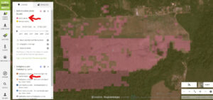 Image 9. Forest loss alerts in the Ecuadorian Amazon.