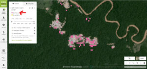 Image 6. Forest loss alerts in illegal gold mining zone (Pariamanu).