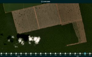 Expanding new 2021 deforestation in the Brazilian Amazon (Mato Grosso). Data: Planet. Click to enlarge image.