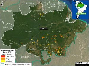 Primary forest hotspots 2021 (thru April 4). Data: UMD/GLAD, MAAP.