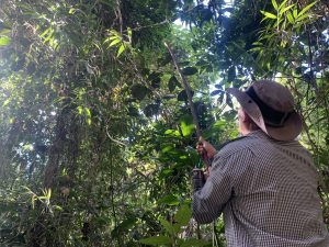 Photo of PUCP researcher at Amazon Conservation's Los Amigos Biological Station