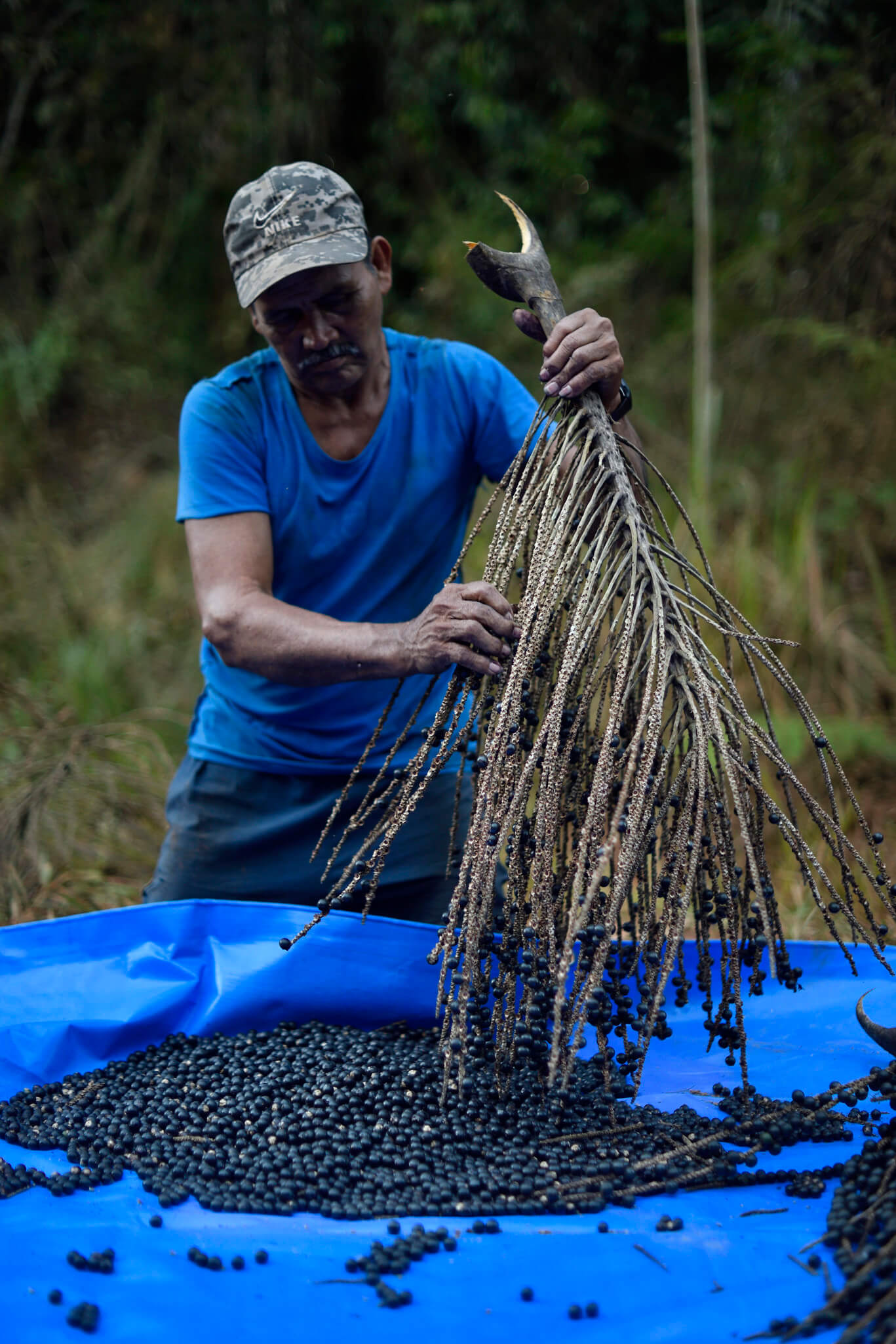 Building a Climate-Smart Forest Economy Alongside Indigenous
